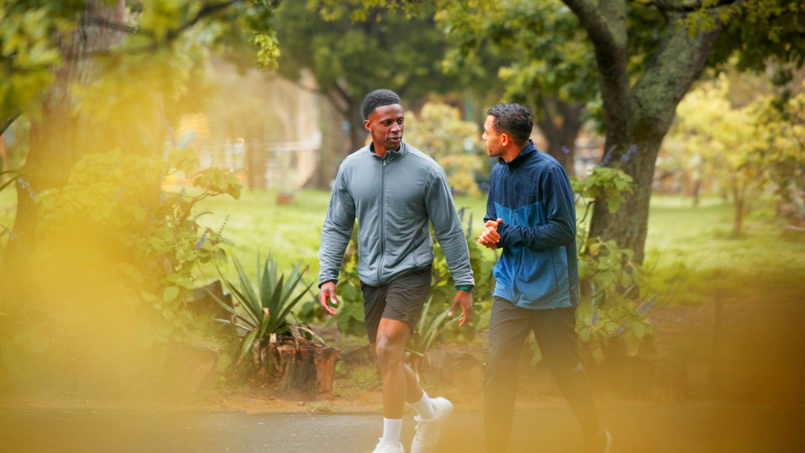 IStock 2222405525 1 Scaled